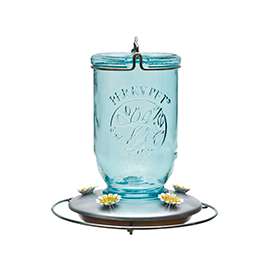 Perky-Pet 785 Hummingbird Feeder, 5 Ports/Ways, Glass, Blue