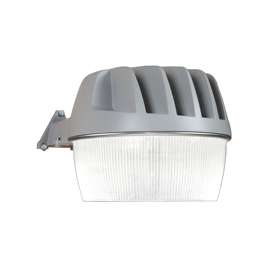 Eaton Lighting ALL-PRO AL3050LPCGY Area and Wall Light, 120 V, LED Lamp