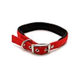 Petmate 15506 Dog Collar, 18 in L Collar, Nylon, Red