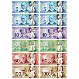 Canadian Dollar Magnetics