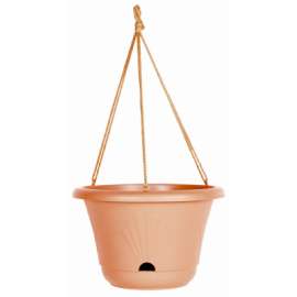 13" TC Luc Hang Basket