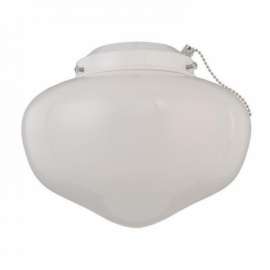 1LGT WHT School Fan Kit