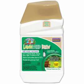 16OZ Conc Lawnweed Brew