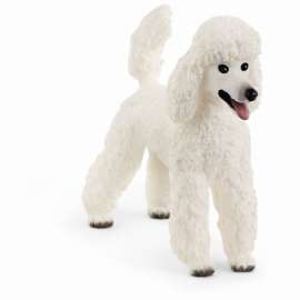 WHT Poodle