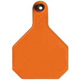 25PK LG ORG Blank Tag