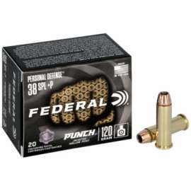 20RND PD 38SP Ammo