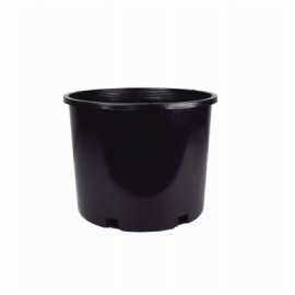 #7 Nursery Container