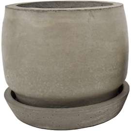 6" Sam Planter/Tray