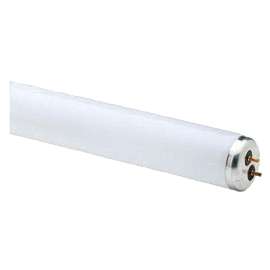 WP 2PK 48" 32W T8 Tube
