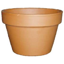 6" TC Azalea Pot