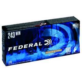 20RND 243B RFL Ammo
