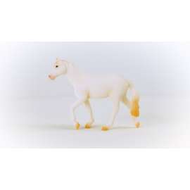 Camarillo Mare