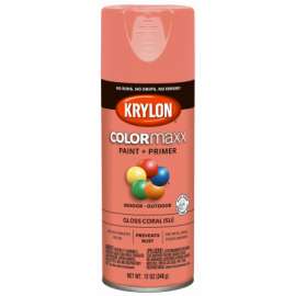 12OZ Coral GLS Paint