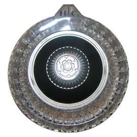 MoenCLR Old SHWR Handle