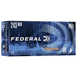 20RND 243Win 80GR Ammo