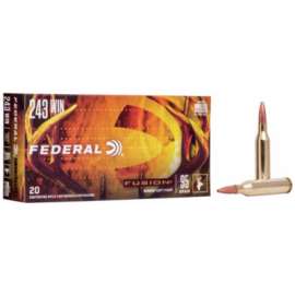 20RND Fed 243WIN Ammo