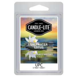 2OZ Salt Wax Cube