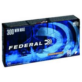 20RND 300WBS RFL Ammo