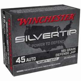 20RND .45ACP Silvertip