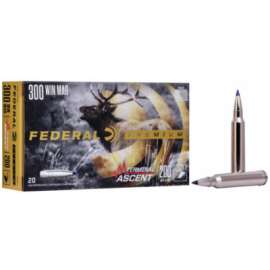 20RND 300WM 200GR Ammo