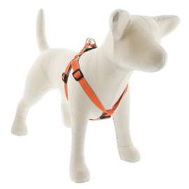 3/4x20-30OD Dog Harness