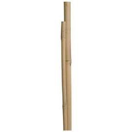 MG 4PK 5' Bamboo Pole
