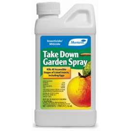 PT TakeDown Insecticide