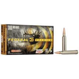 20RND 300WM 165GR Ammo