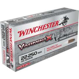 20RND 250 Rem RFL Ammo