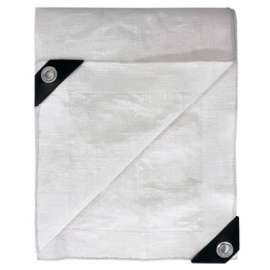 TG 12x20 WHT FR Tarp