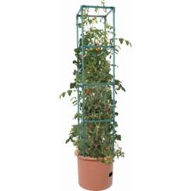 Tomato Barrel/Tower