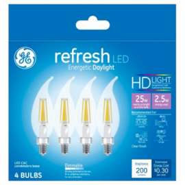 GE4PK 2.5W Day Ref Bulb