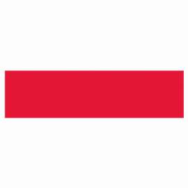 RED Stripe DR Decal