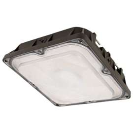 10" 45W Canopy Light