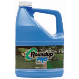 2.5GAL Conc Roundup