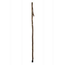 55" Free Form Sassafras