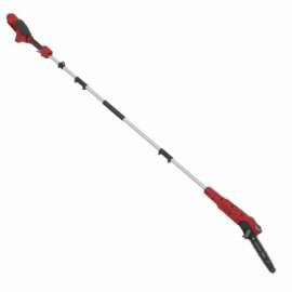 60V CRDL Pole Saw BT