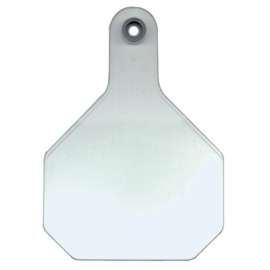 25PK LG WHT Blank Tag