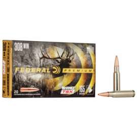 20RND 308WIN 165GR Ammo