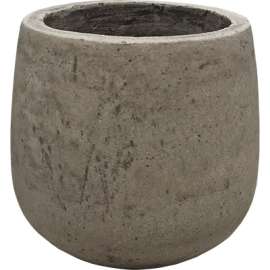 4" Century Planter