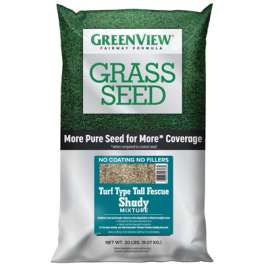 20LB TallFes Shady Seed