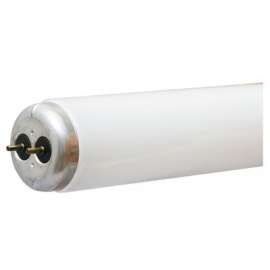 WP 48" 40W CW Fluo Tube