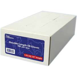 100CT LG OB Slee Glove