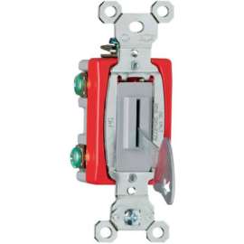 20A GRY SP Keyed Switch