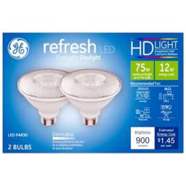 GE2PK12W Day Par30 Bulb