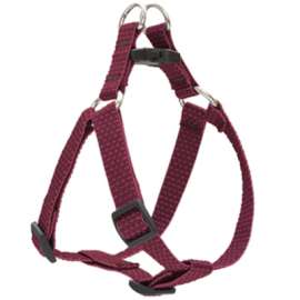3/4x15-21 BERR Harness