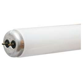 WP 48" 34W CW Fluo Tube