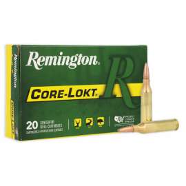 20RND 243Win 100GR Ammo