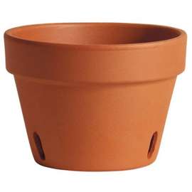 6" Clay Orchid Pot