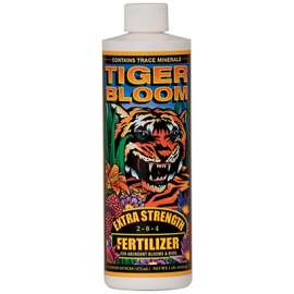PT Tiger Bloom